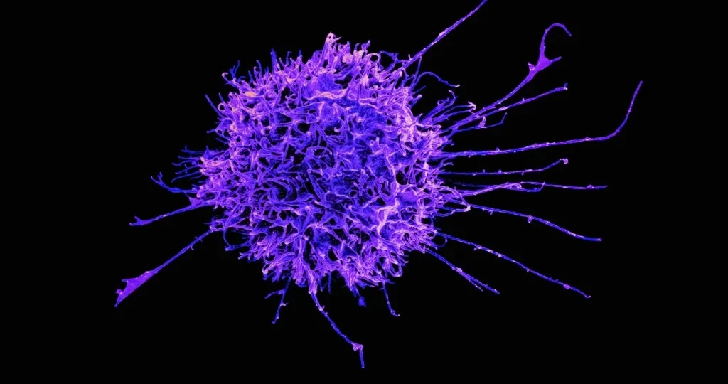 Descoberta inovadora: cientistas revelam mecanismo para desligar genes ligados ao câncer de forma permanente
