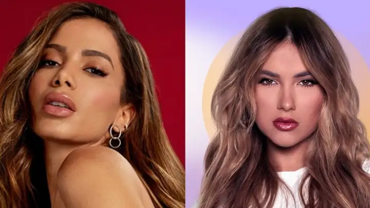Anitta apoia vídeo que critica Virginia Fonseca por postagem polêmica com macaco